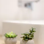 Apartmán Close-golden Wroclaw- Cozy Studio- Rynek Square&kuznicza23 *